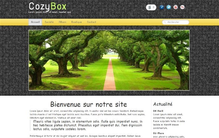 création site internet bollène